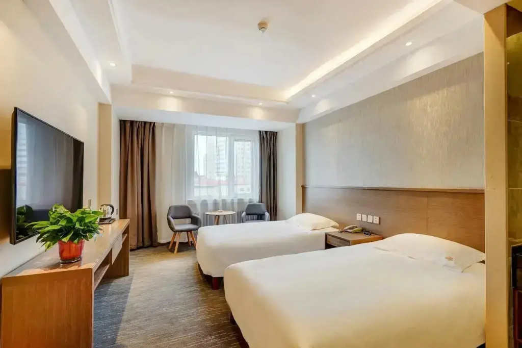 Light Luxury Standard Double room (twin beds)
