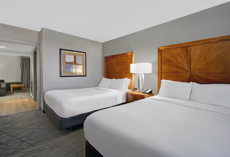 Embassy Suites by Hilton Detroit Livonia Novi - Chambres