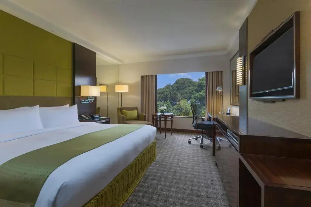 Holiday Inn Singapore Orchard City Centre by IHG - Général
