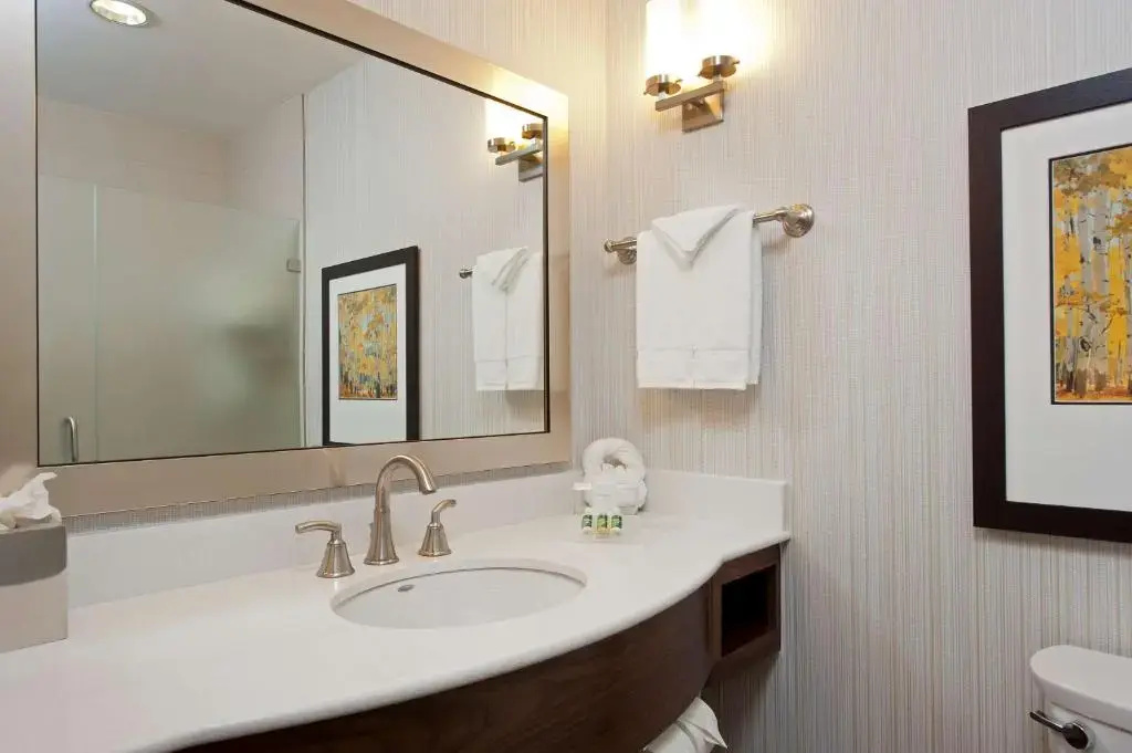 Hilton Garden Inn Indianapolis Downtown - Chambres