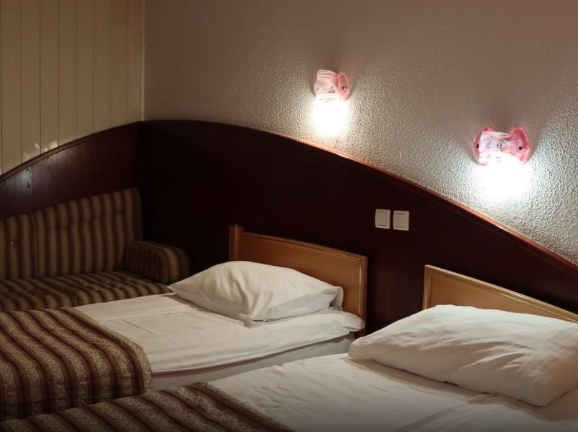 Hotel Zalec - Chambres