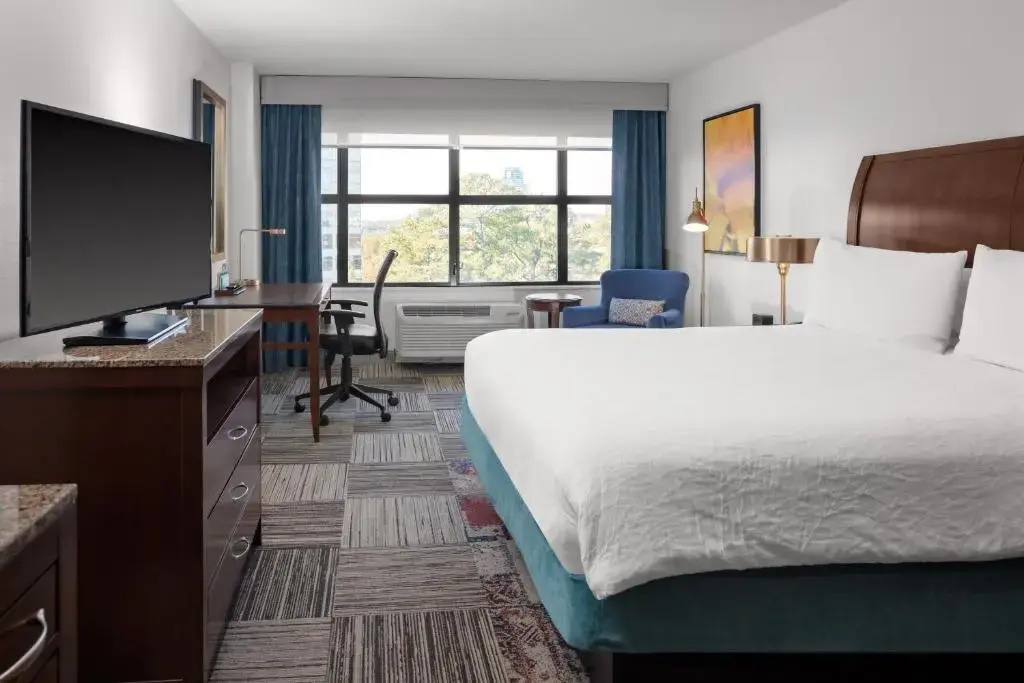 Hilton Garden Inn Atlanta Perimeter Center - Chambres