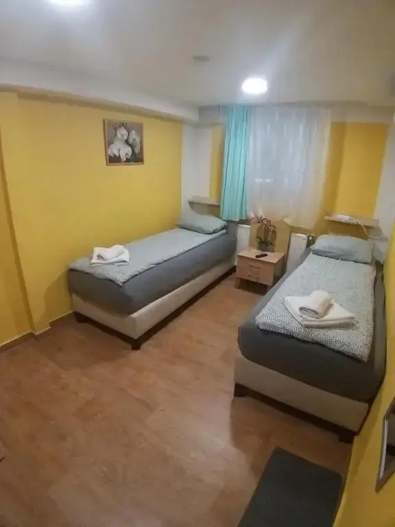 Double room (twin beds)