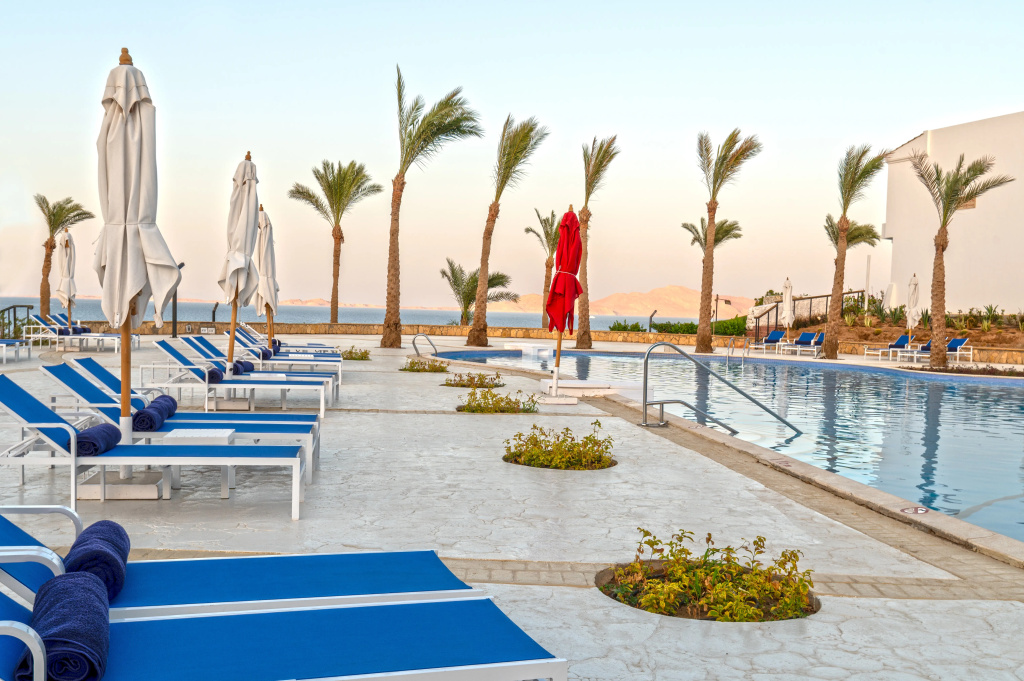 Invidia Coral Beach Tiran: Relax by the outdoor pool on a sun lounger, with palm trees and the sea in the distance.