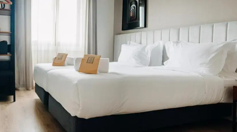 Standard Double room (twin beds)