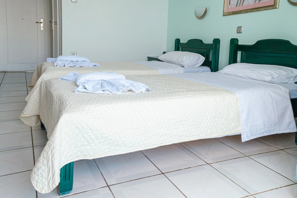 Double room with mountain view (twin beds)