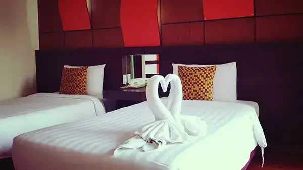 Deluxe Double room (twin beds)