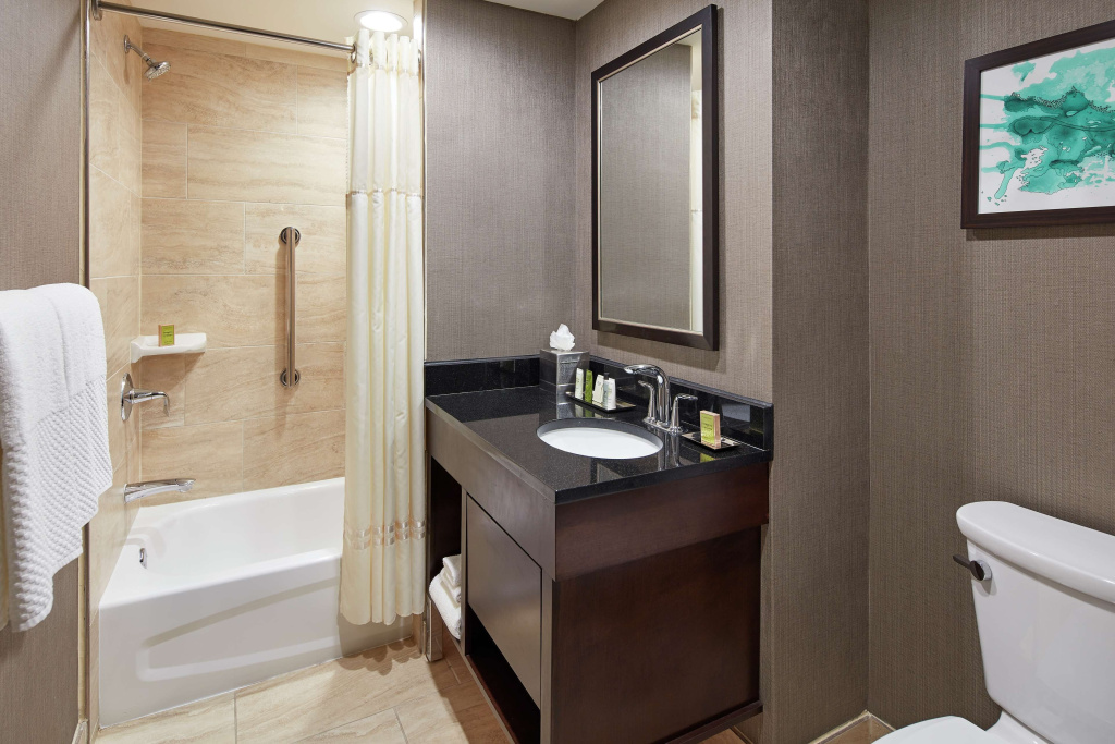 Hilton Houston Plaza/Medical Center - Chambres