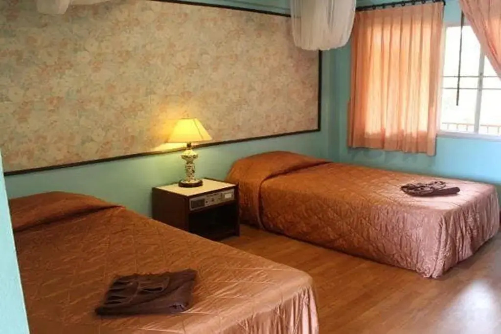 Double room with garden view (twin beds)