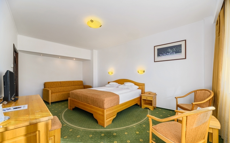 Hotel Casa Viorel - Chambres