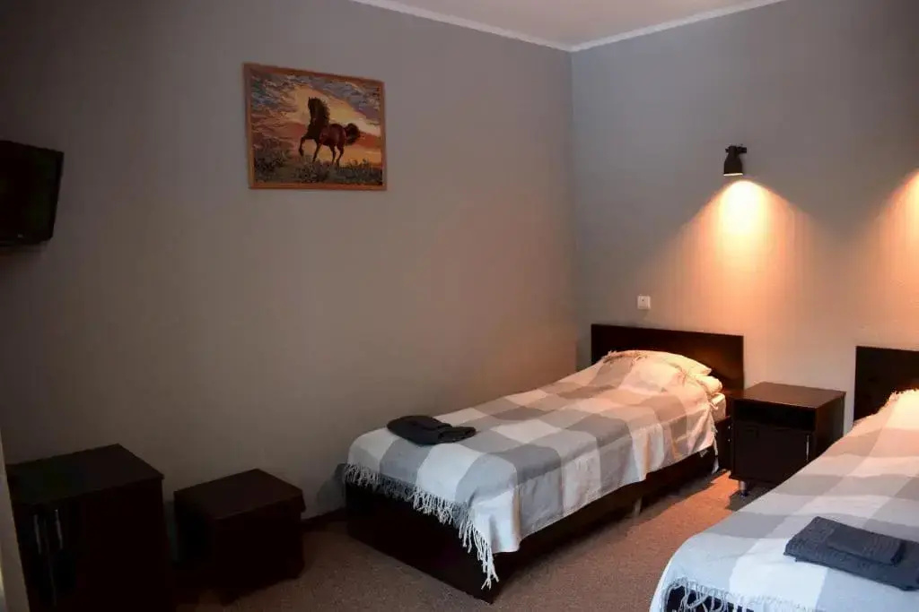 Standard Double room (twin beds)