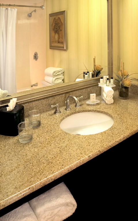 Embassy Suites by Hilton Fort Lauderdale 17th Street - Chambres