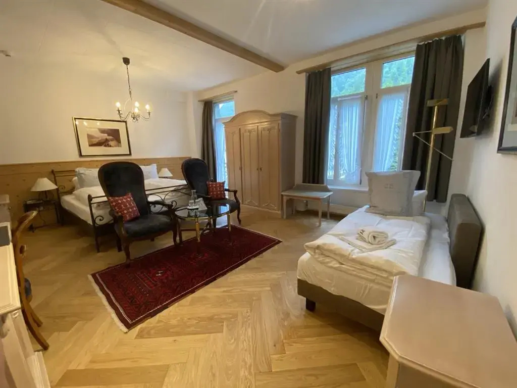 Carlton-Europe Vintage Adults Hotel - Chambres