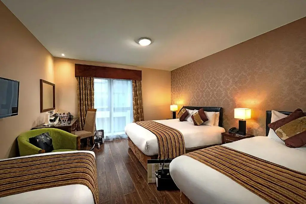 The George Limerick Hotel - Chambres