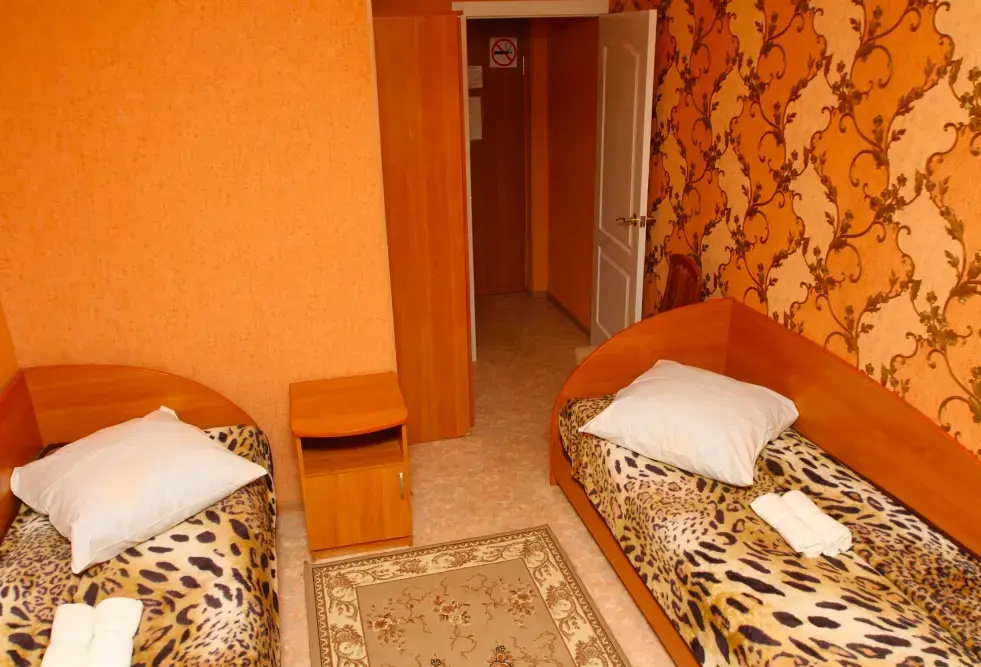 Basic Double room (twin beds)