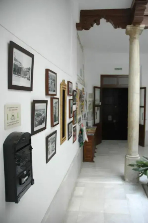 Image 8