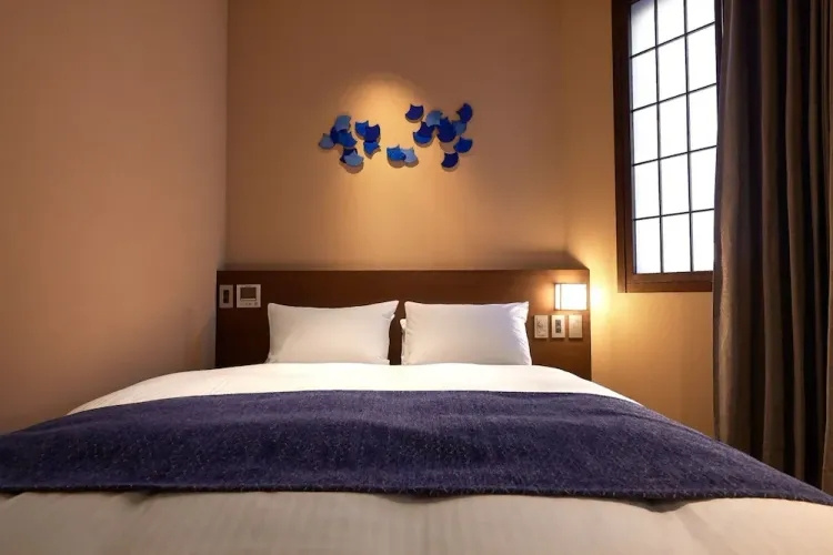 Standard Double room (full double bed)