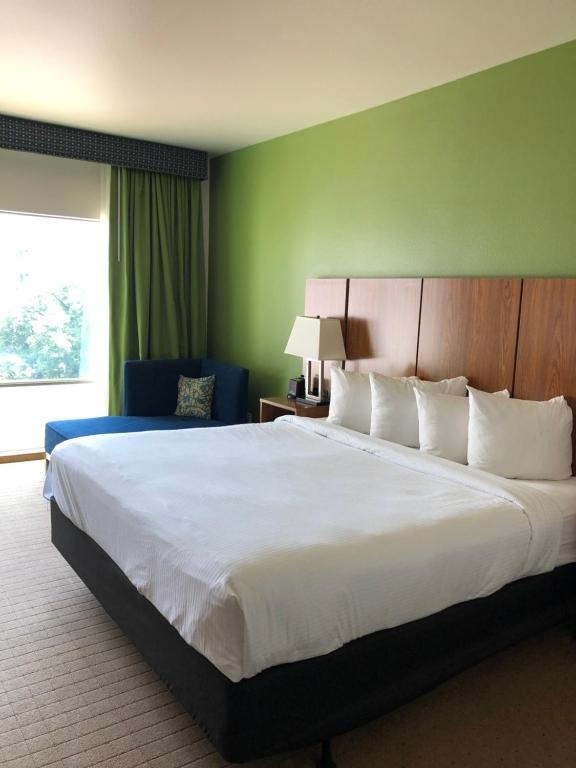 Sol Cypress San Antonio; Marriott Tribute Portfolio - Chambres