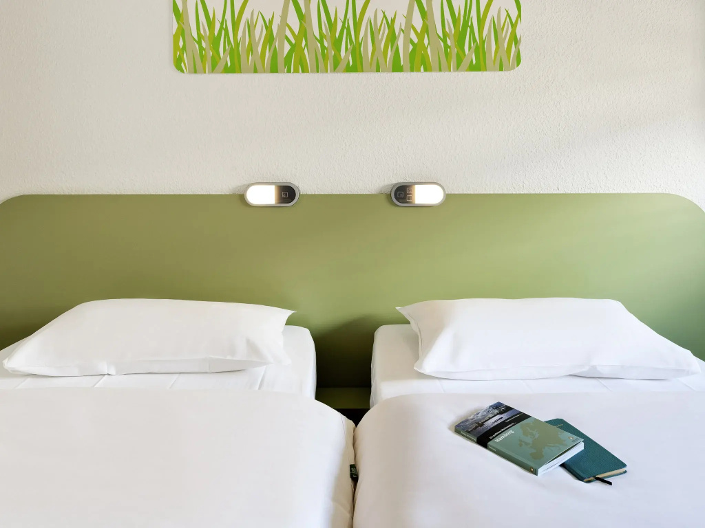Standard Double room (twin beds)