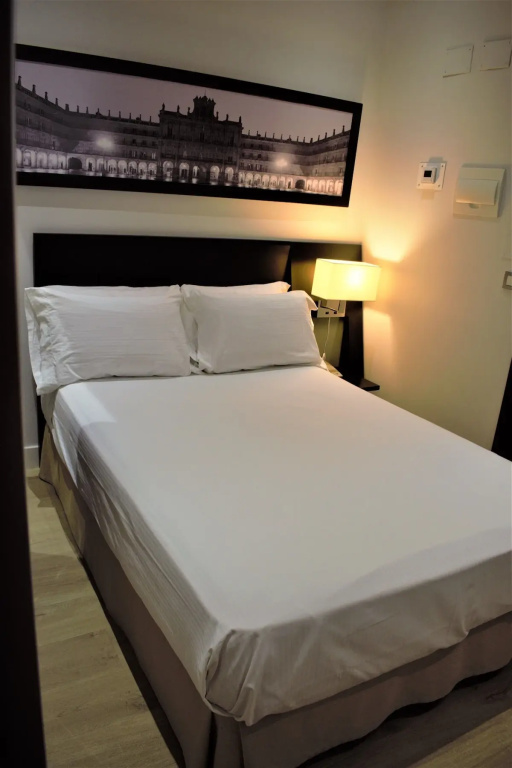 Hotel Sercotel Las Torres Salamanca - Chambres