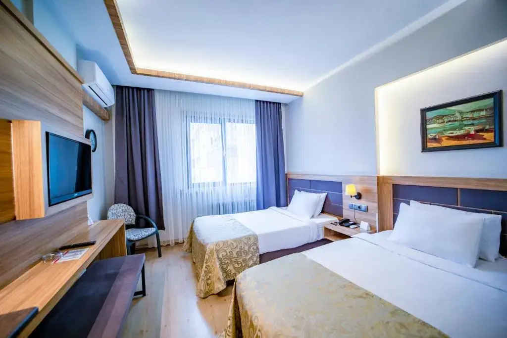 Standard Double room with city view (twin beds)