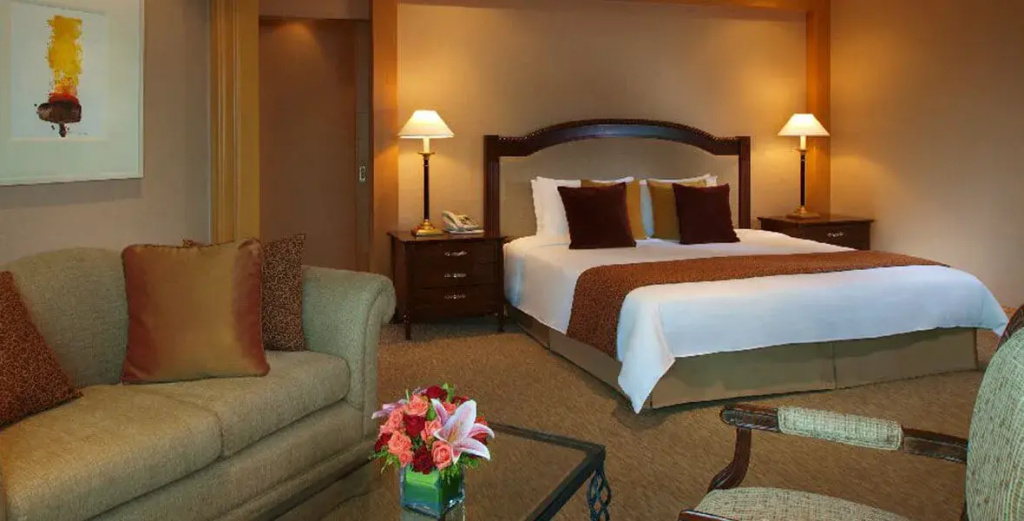 Millenium Double Suite (full double bed)