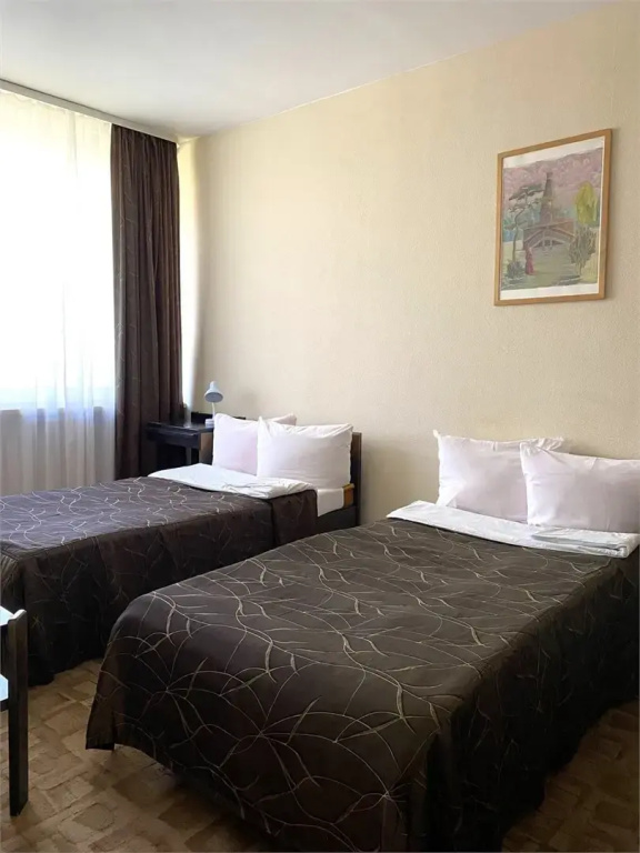 Retro Double room (twin beds)