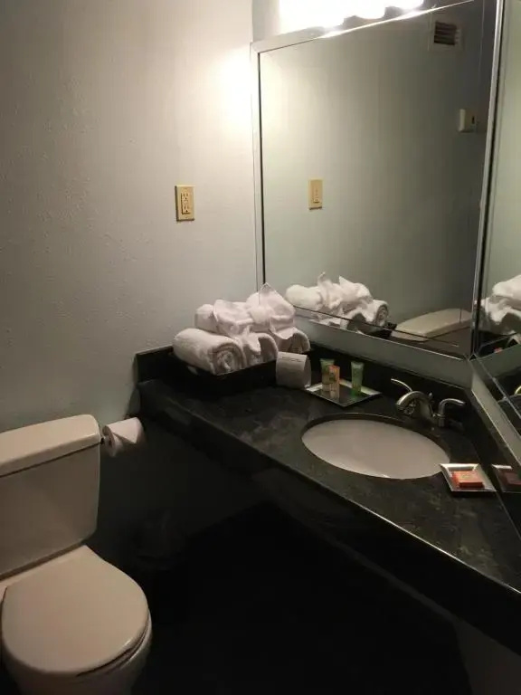 Wyndham Garden Hotel Austin - Chambres