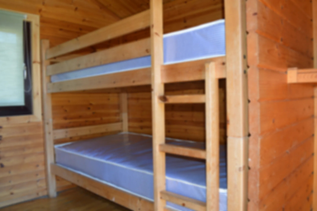 MacDonald Hotel & Cabins  - Chambres