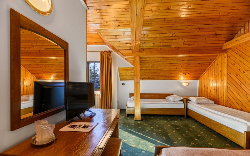 Hotel Casa Viorel - Chambres