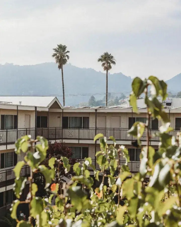 Hotel photo 44