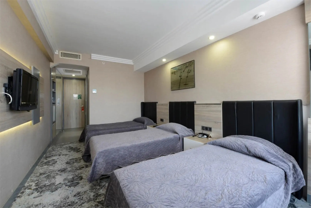 Standard Triple room