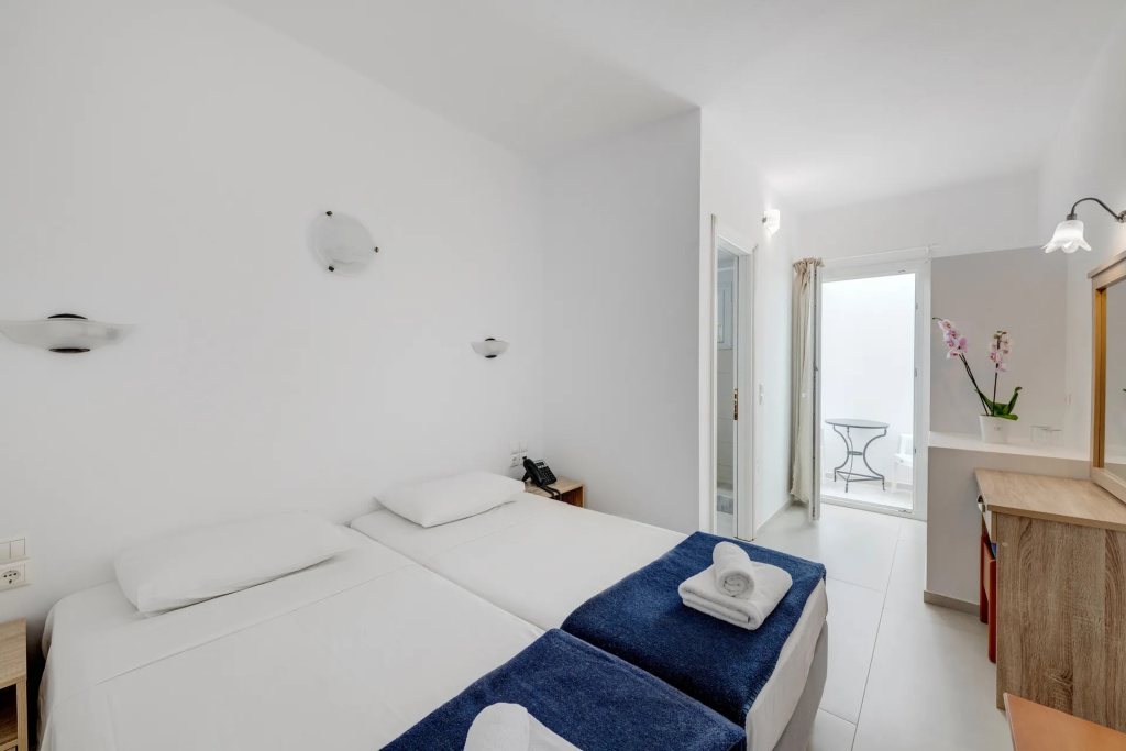 Standard Double room (full double bed)