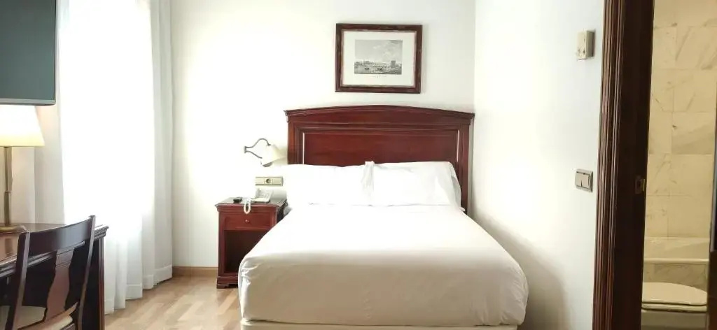 Basic Double room (full double bed)
