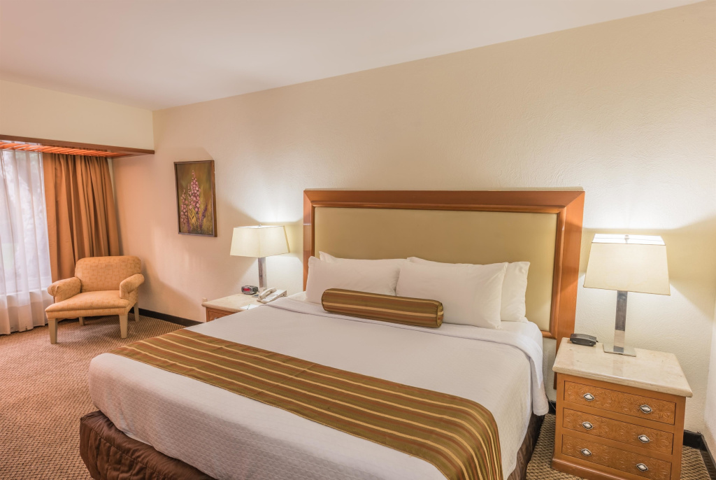 Wyndham Garden Guadalajara Expo - Chambres