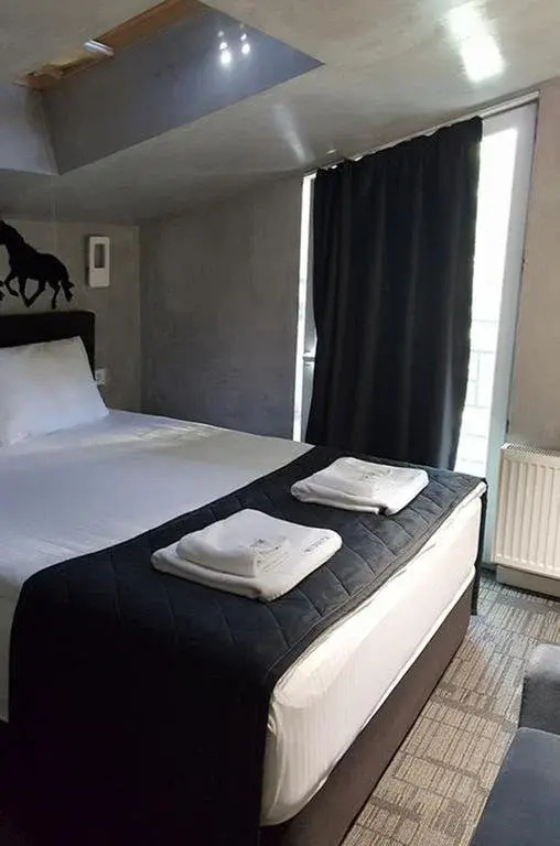 Standard Mini without window Double Attic room (full double bed)