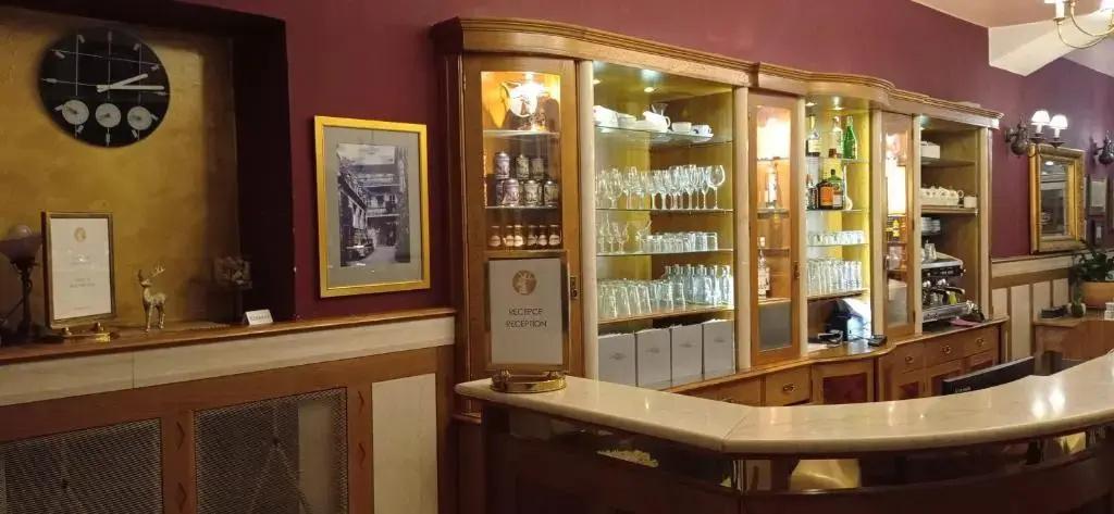 Hotel U Zlateho Jelena - Général