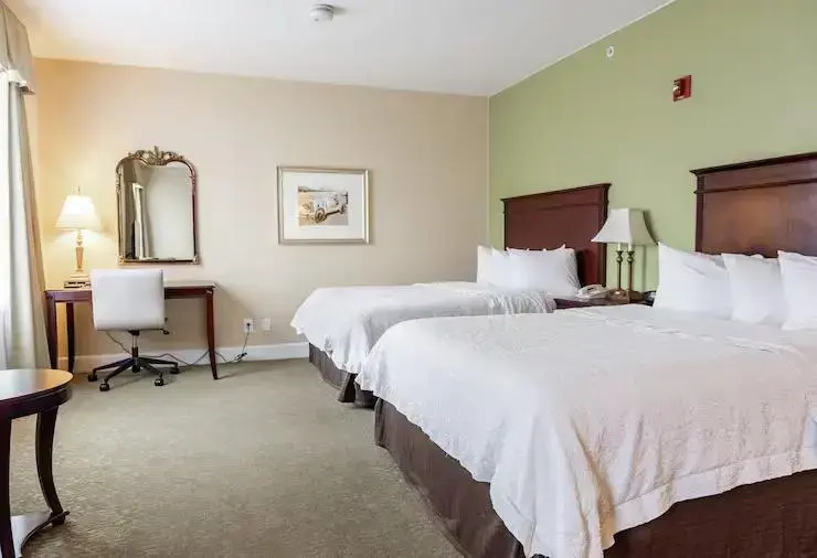 Hampton Inn & Suites Birmingham-Downtown-Tutwiler - Chambres