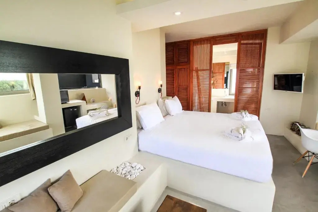 Deluxe Double Suite (full double bed)