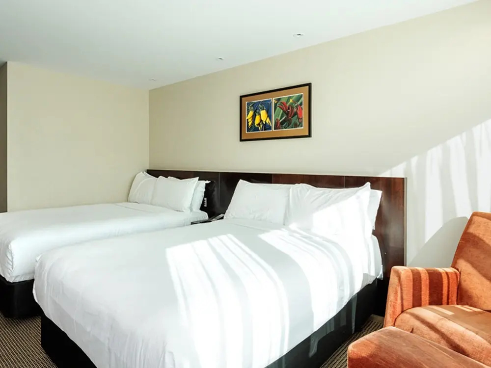 Copthorne Hotel Oriental Bay Wellington - Chambres