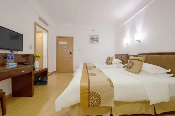 No Window Standard Double room (twin beds)