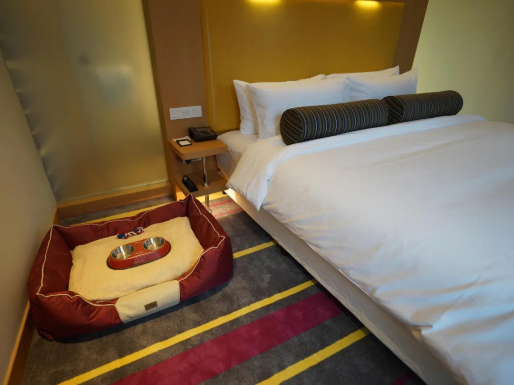 Tianxin Music Nest Suite