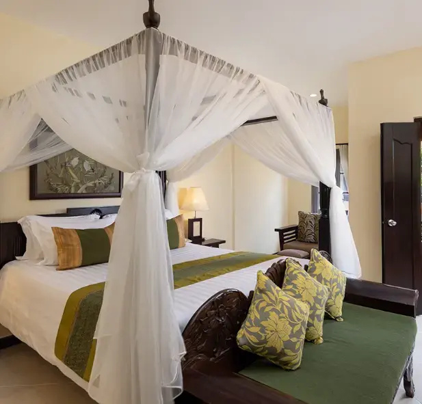 Deluxe Double room (full double bed)