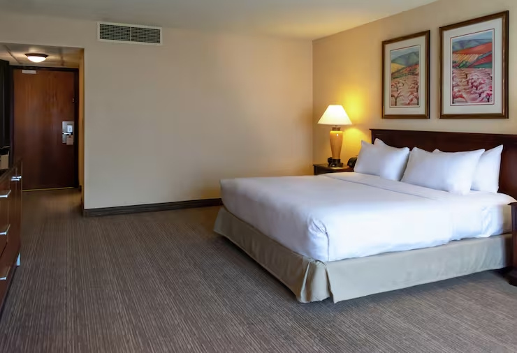 DoubleTree by Hilton San Jose - Chambres