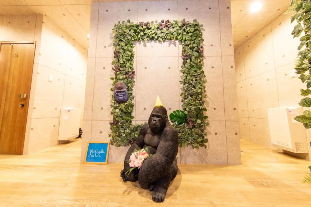 Guest House Gorilla 사진 31