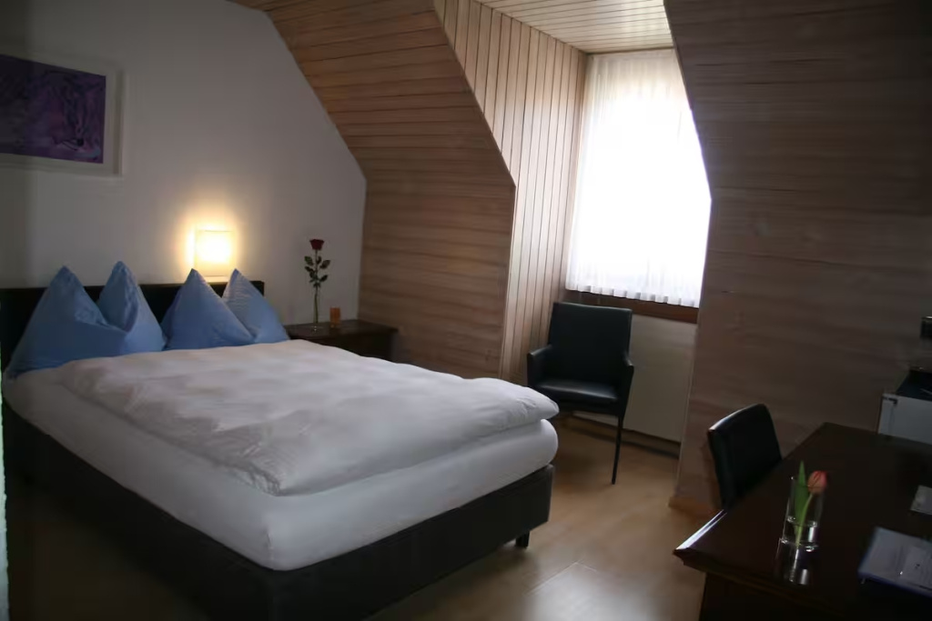 Superior Single room (full double bed)