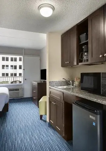 Deluxe Double Suite (full double bed)
