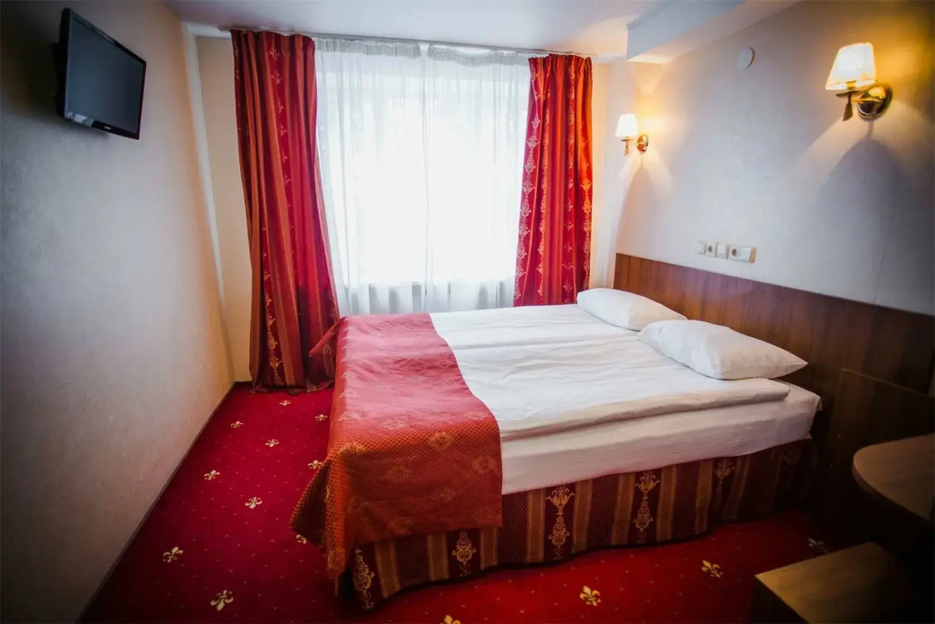 Standard Double room with city view (full double bed)