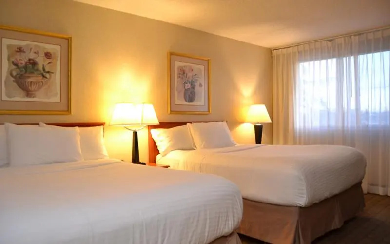 Quadruple room