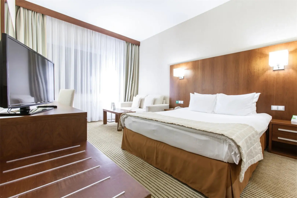 HolidayHall Samara Hotel Room Type - Standard with Sofa Double room full double bed